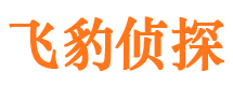 凤阳外遇调查取证